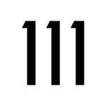 111 MANAGEMENT
